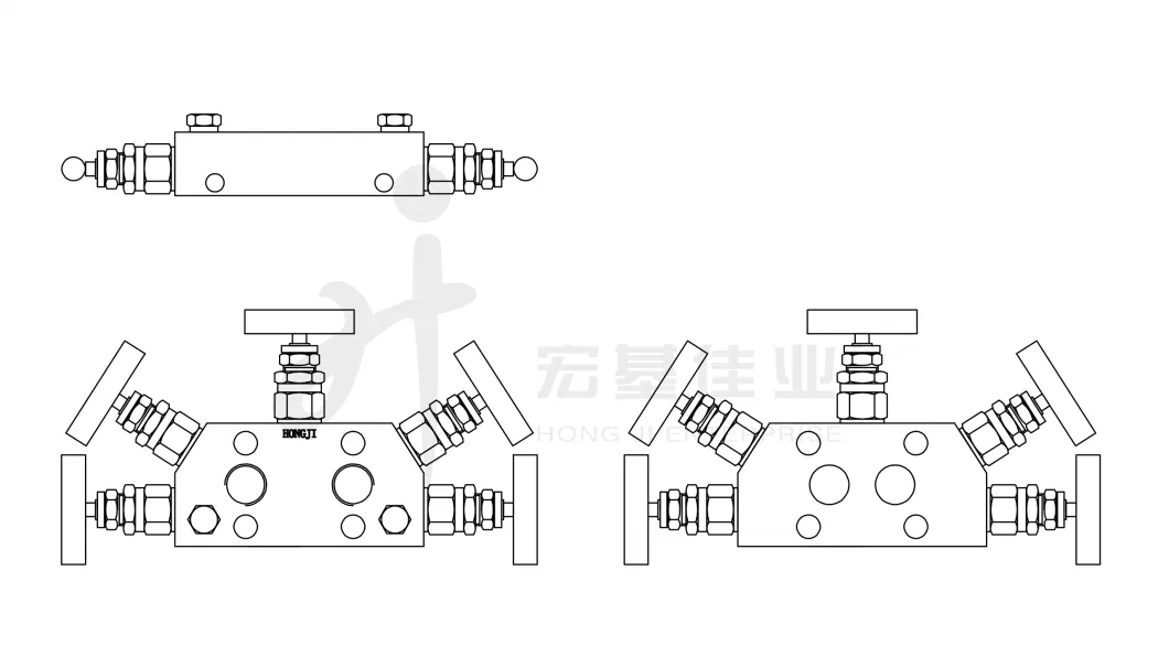 Hongji SS316 Stainless Steel Fanshaped 5-Valve Manifolds 6000psi Coplanar Valve Manifolds