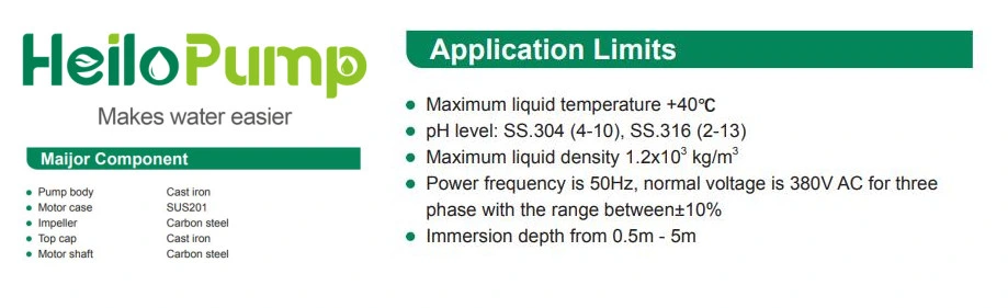 Stainless Steel AC Electric Centrifugal Deep Well Submersible Sewage Water Pump WQD-H Series for Construction Dirty Water Treatment and Municipal Wastewater