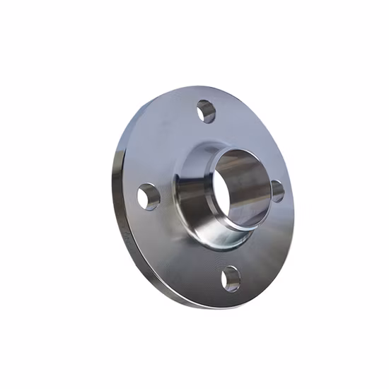 Brides standard et OEM en acier au carbone et en acier inoxydable